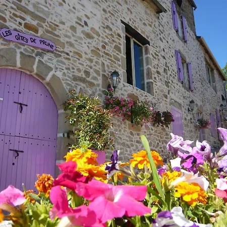 Gites De Prune